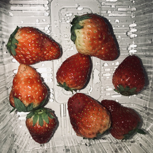 免费看裸体🔞🔞🔞网站黑
