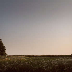 免费看裸体🔞🔞🔞网站黑
